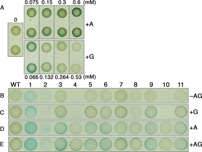 Fig 6