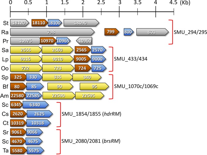 Fig 5