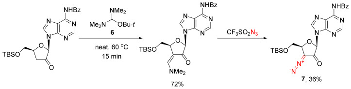 Scheme 5