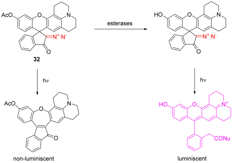 Scheme 21