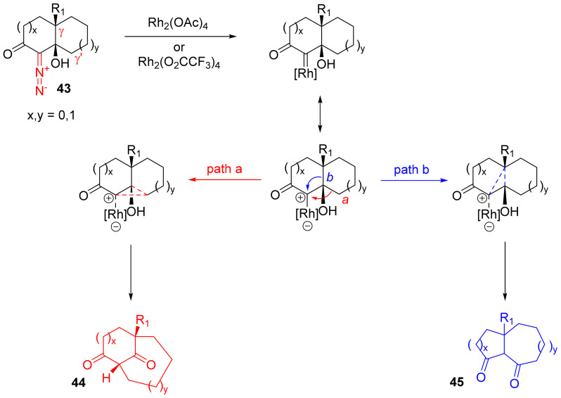 Scheme 28