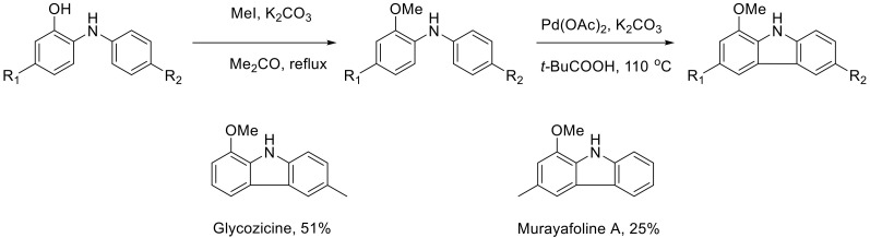 Scheme 66