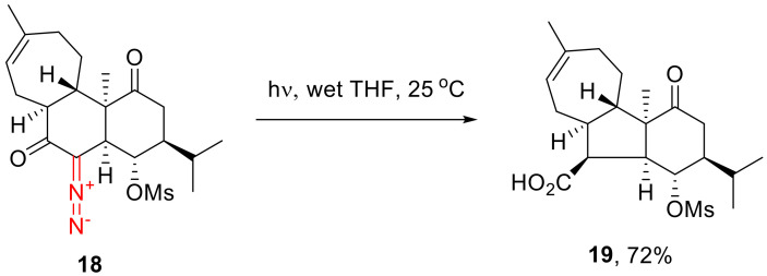 Scheme 12