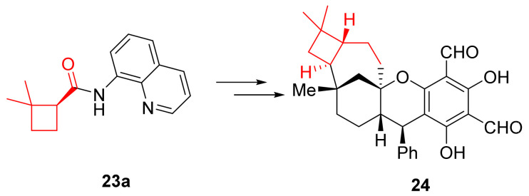Scheme 16