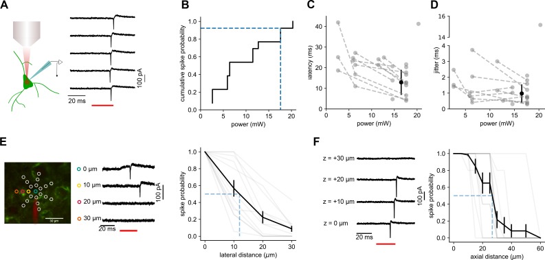 Figure 4—figure supplement 2.