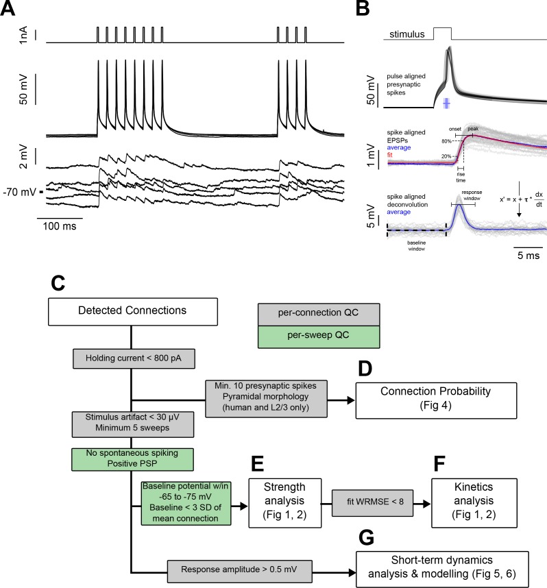 Figure 1—figure supplement 1.