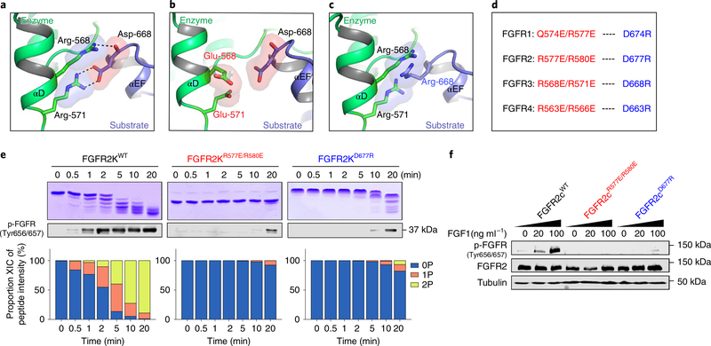 Fig. 4 |