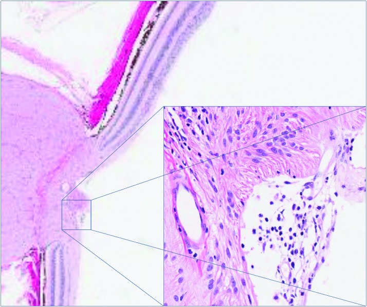 FIG. 6.