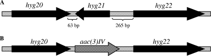 FIG. 5.