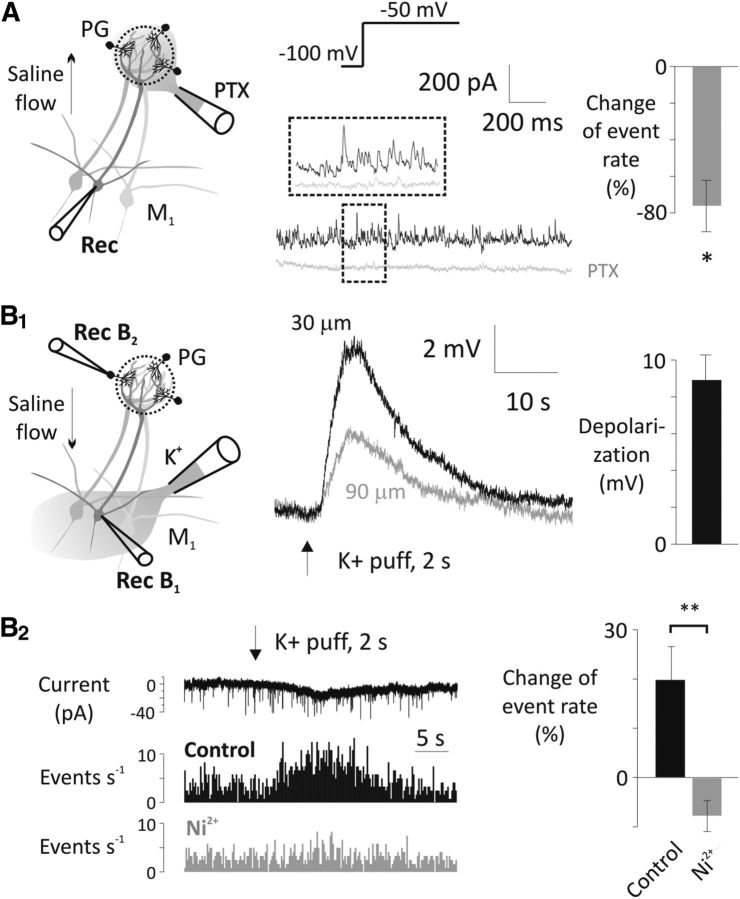 Figure 9.