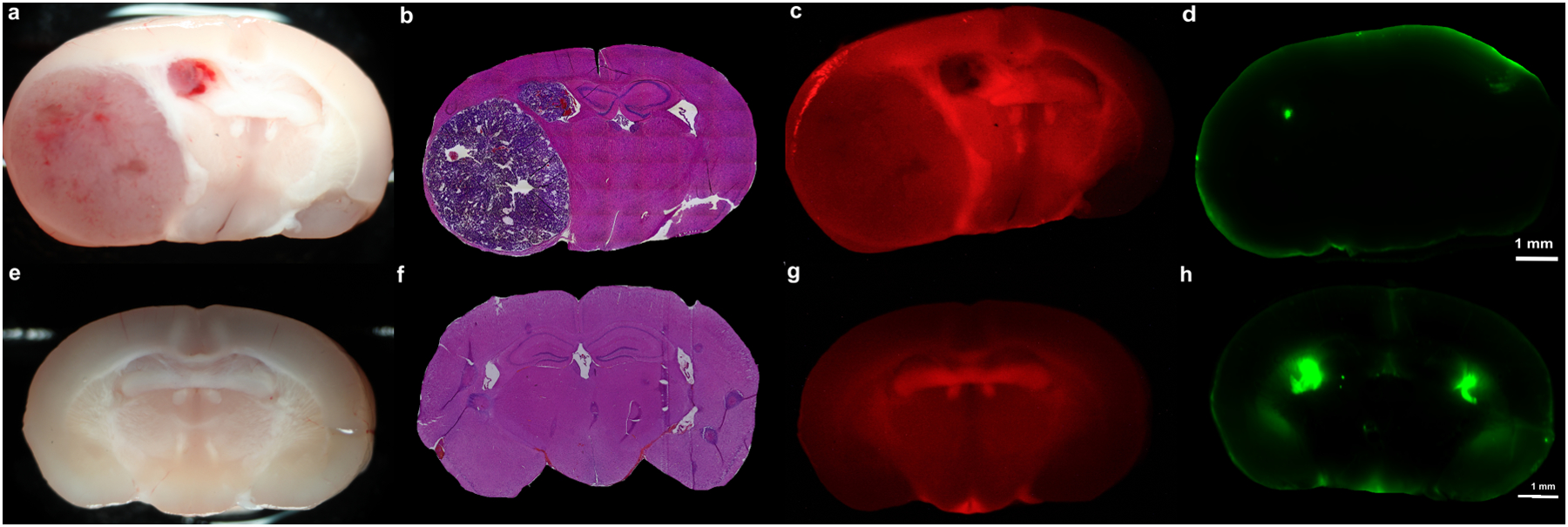 Figure 2: