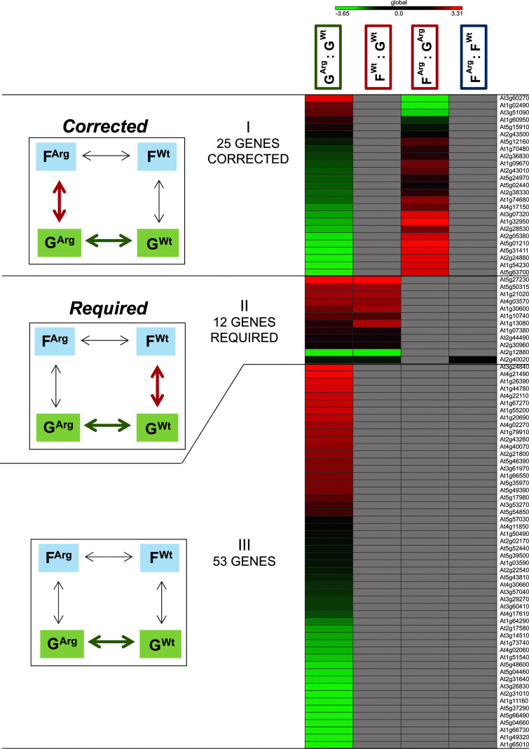 FIG. 3.