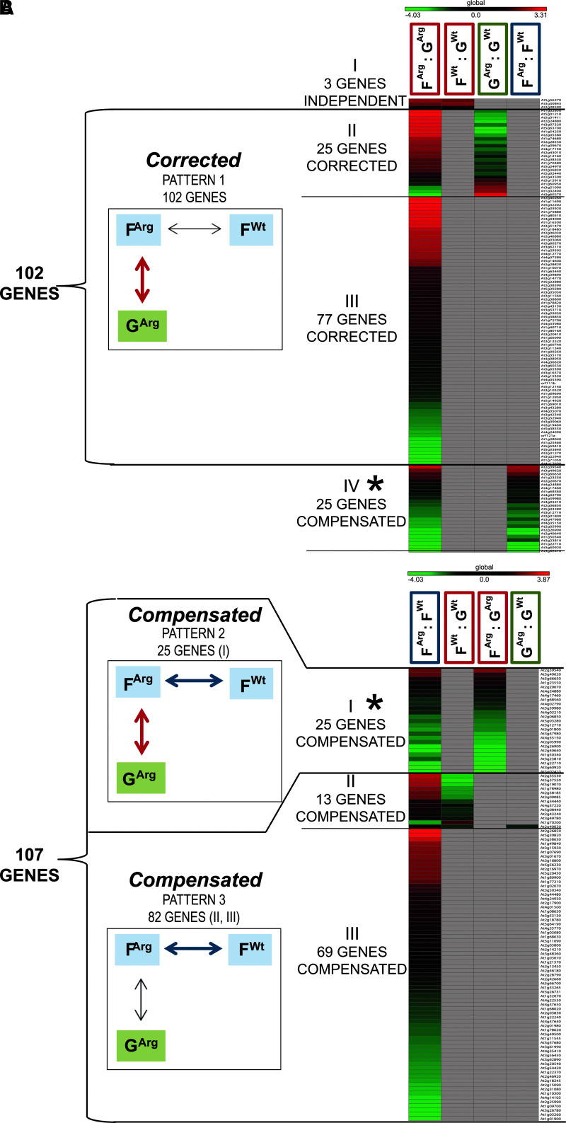 FIG. 4.