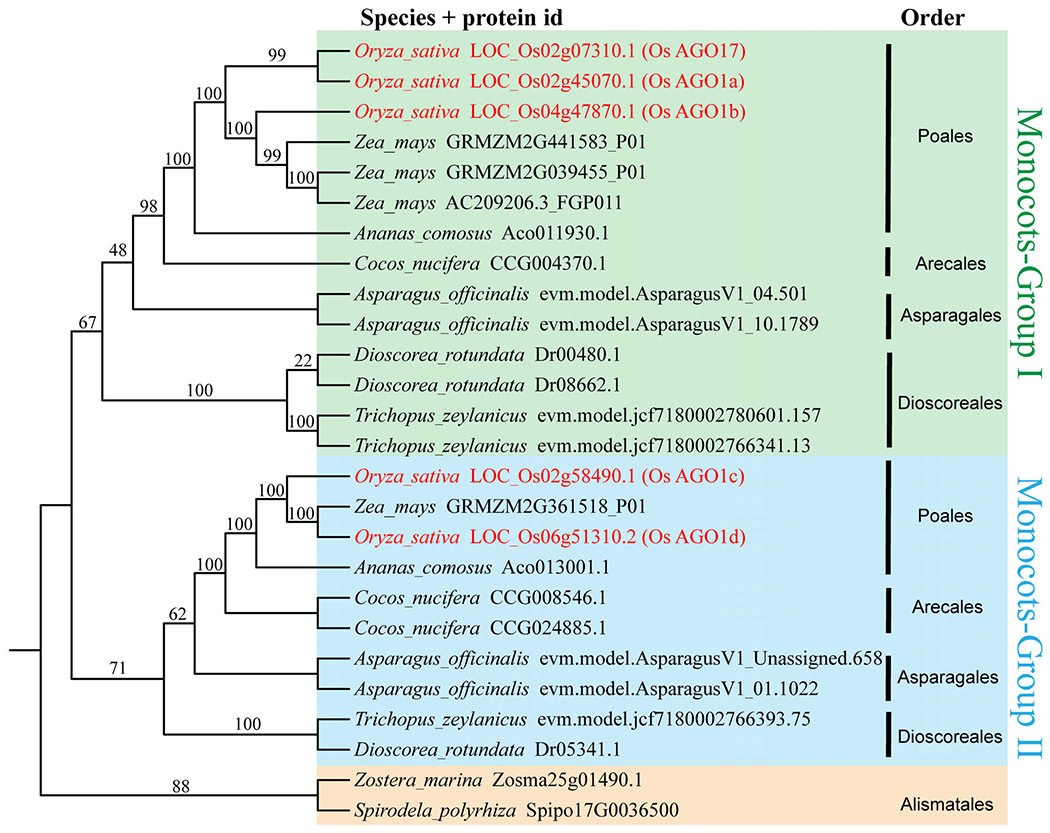 Figure 5.