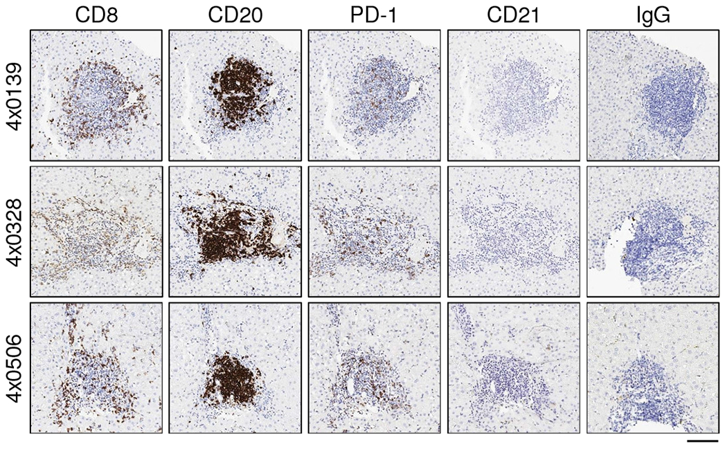 Fig. 6.