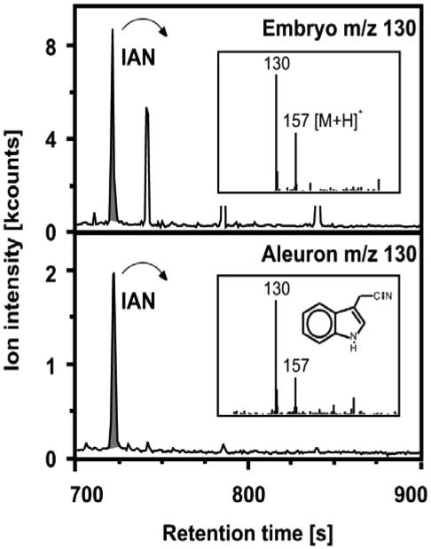 Figure 7.