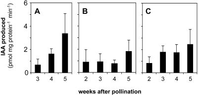 Figure 6.