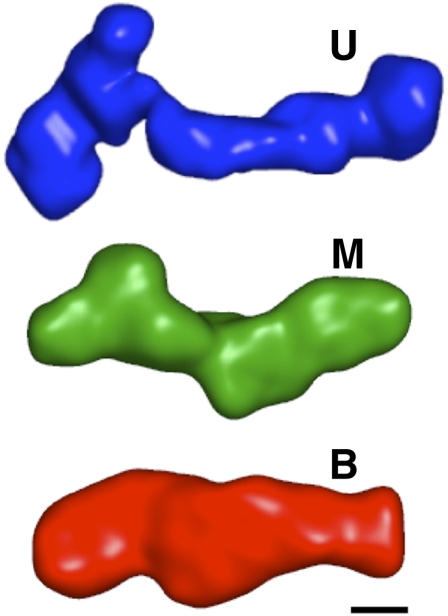 FIGURE 5.