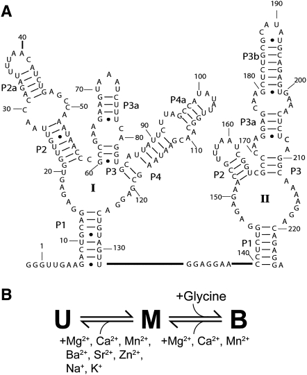 FIGURE 1.