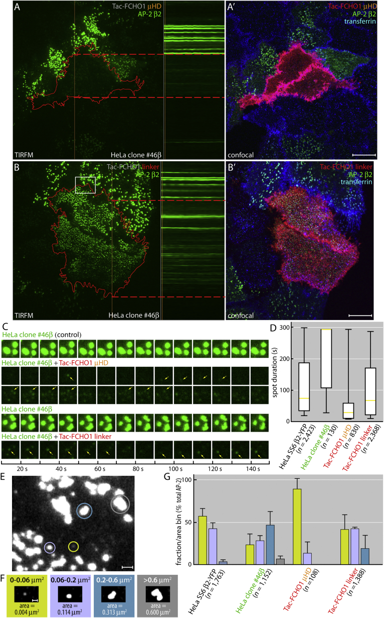 Figure 6