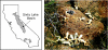 Fig. 3.