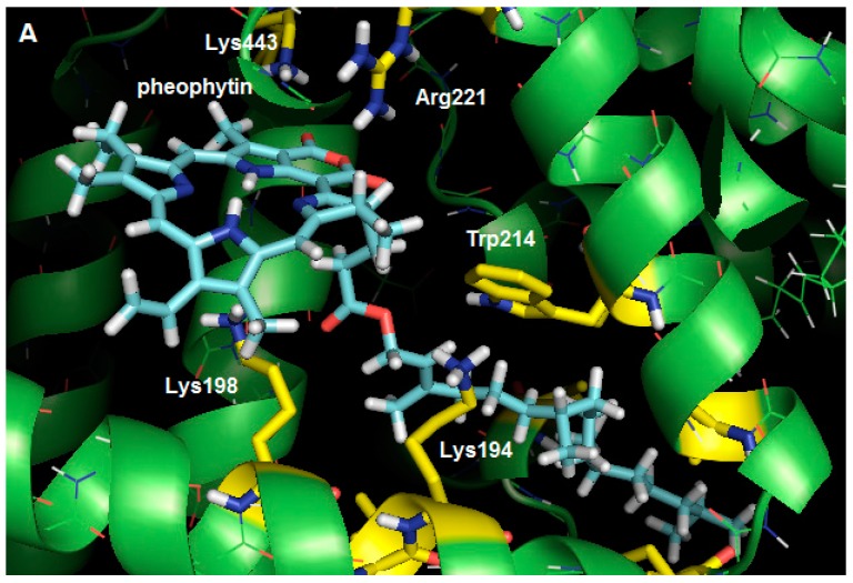 Figure 7