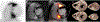 Figure 5: