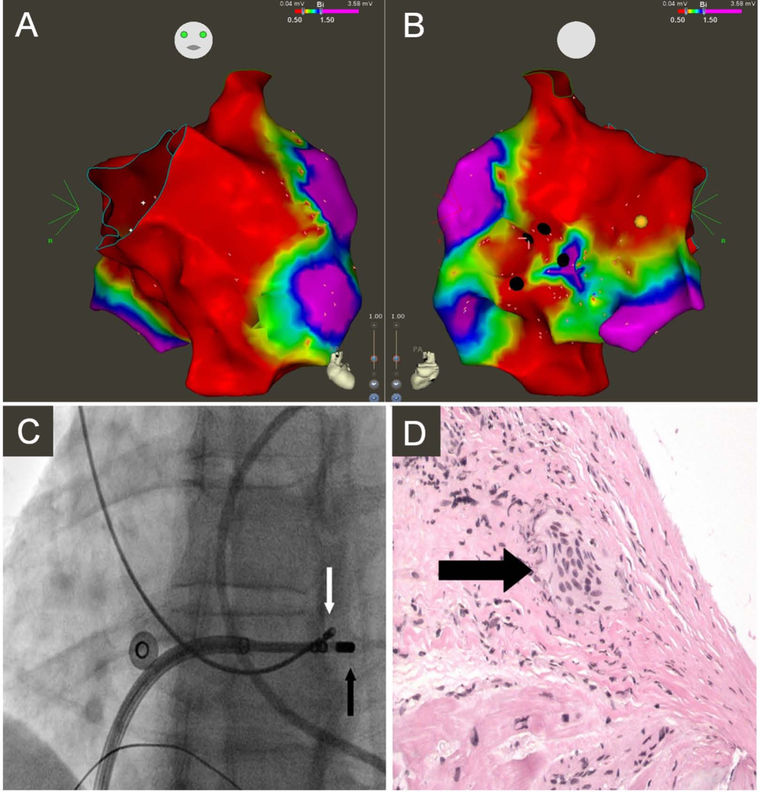 Figure 3: