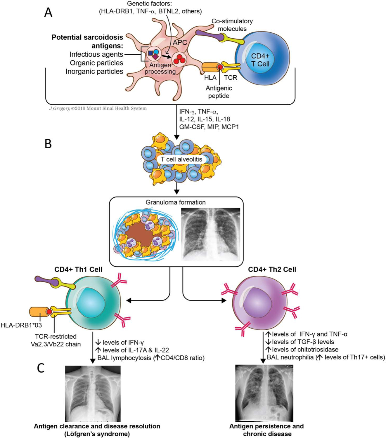 Figure 2: