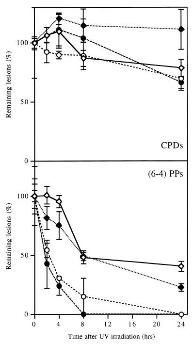 FIG. 6