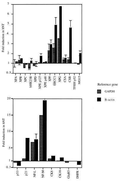 FIG. 7