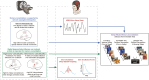 Graphical Abstract