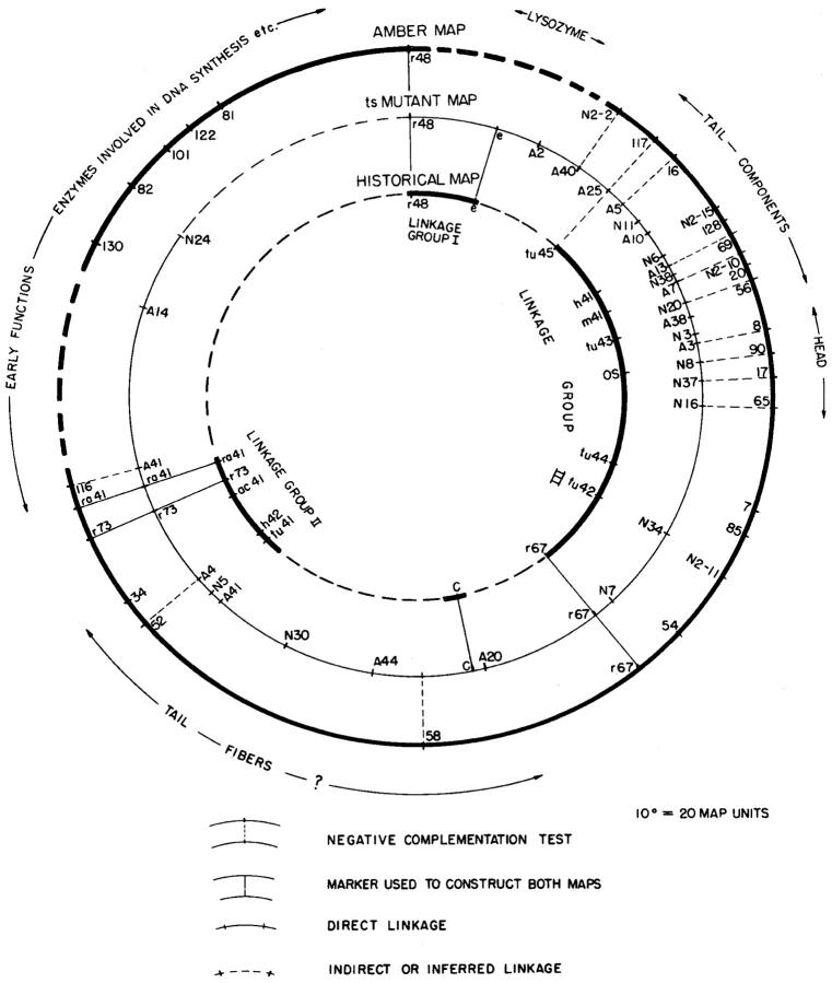 Figure 2.—