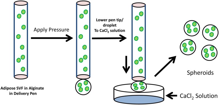 FIG. 2.