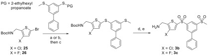 Scheme 5