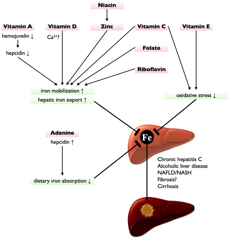 Figure 1