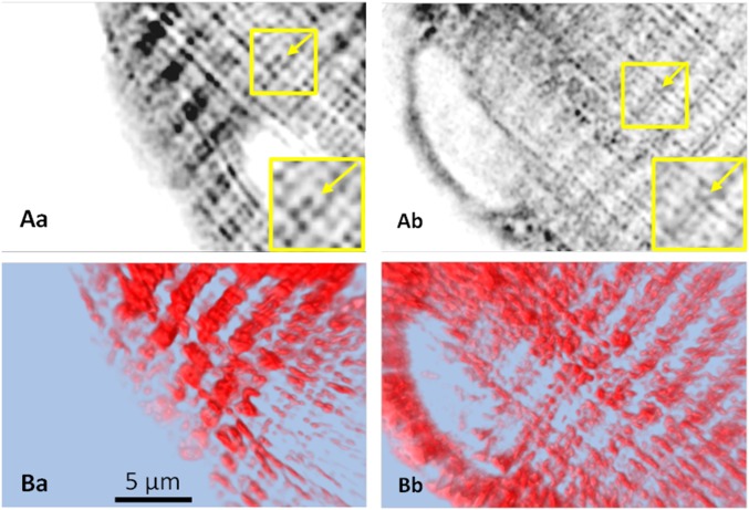 Fig. 6.