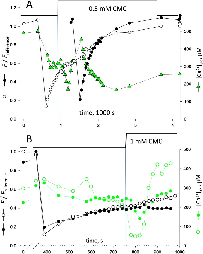 Fig. S5.