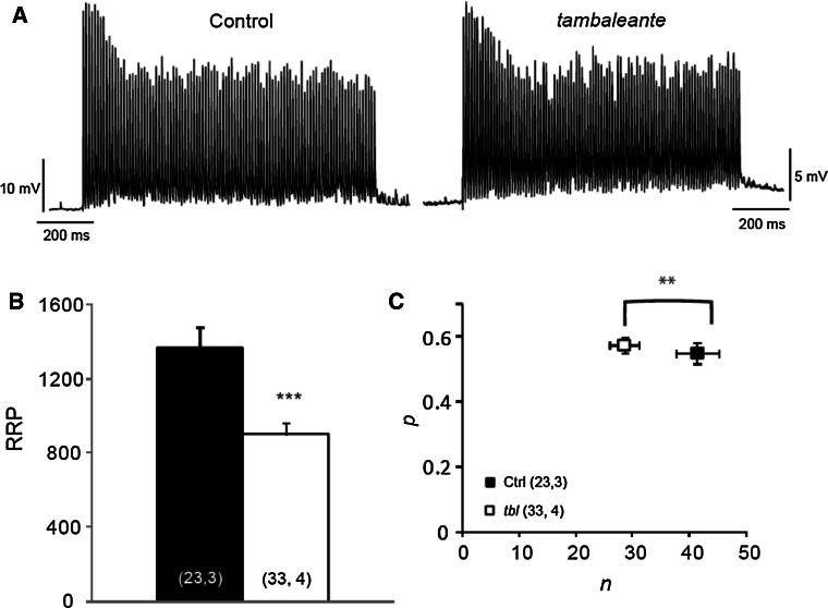 Fig. 7