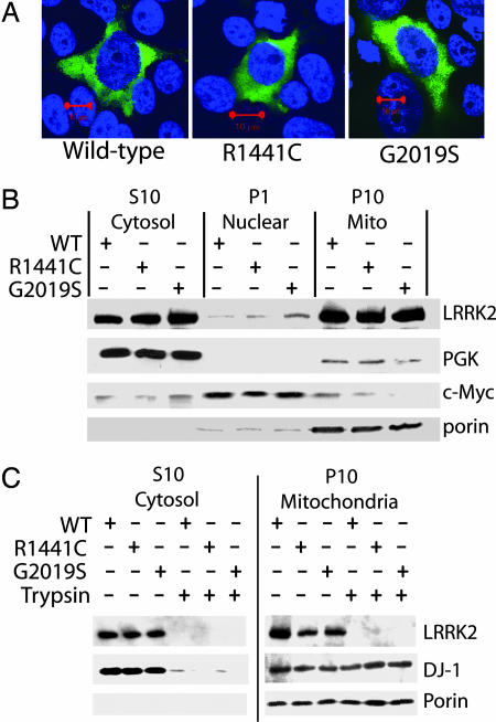 Fig. 2.