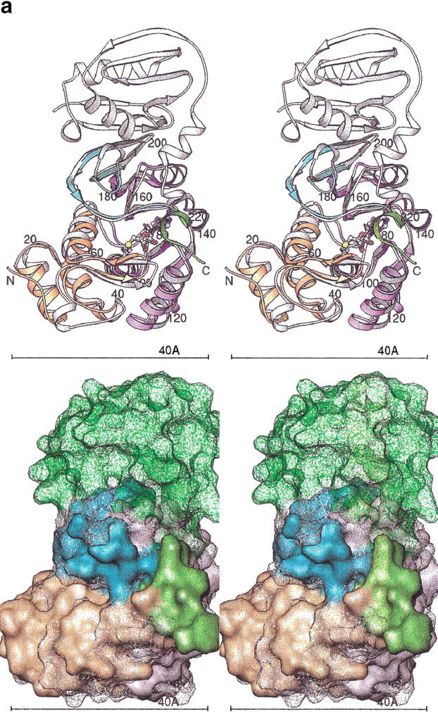 Fig. 5.