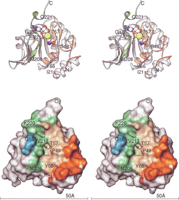 Fig. 2.