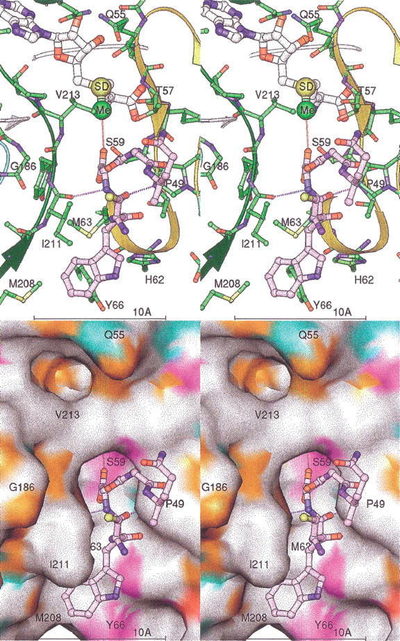 Fig. 6.