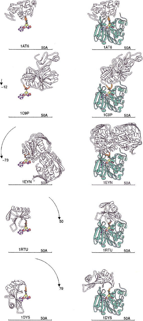 Fig. 7.