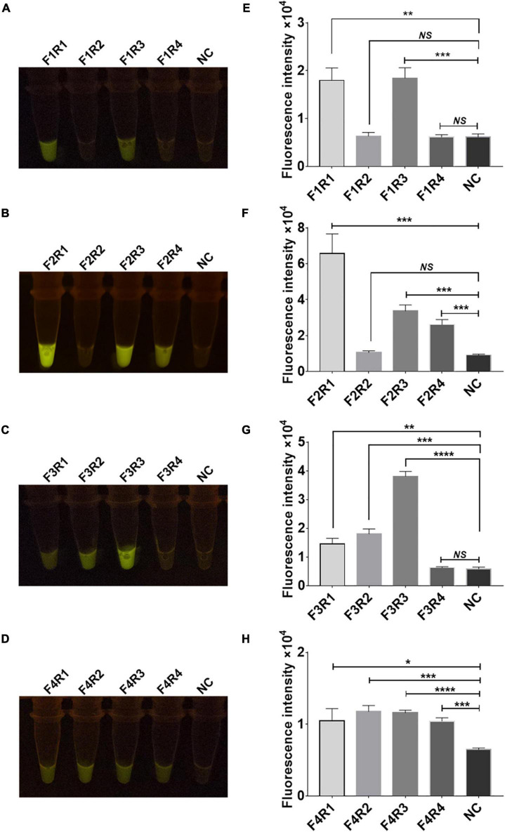 FIGURE 4