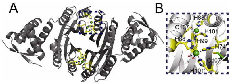 Fig. 11