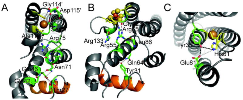 Fig. 7