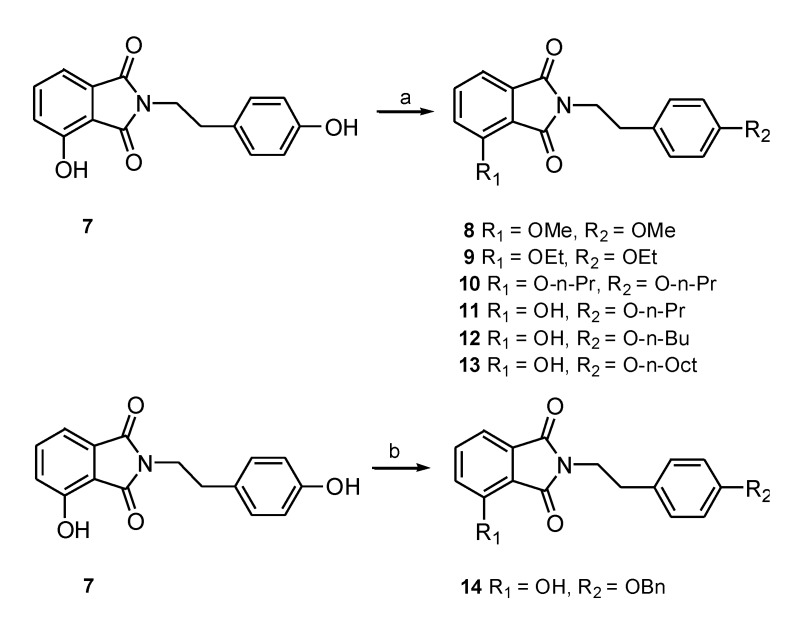 Scheme 2