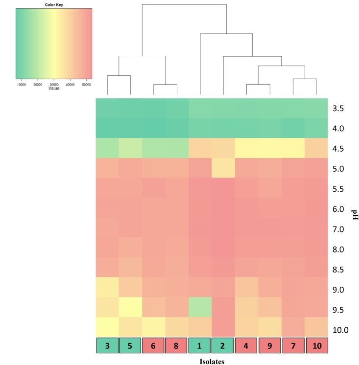 Fig 5