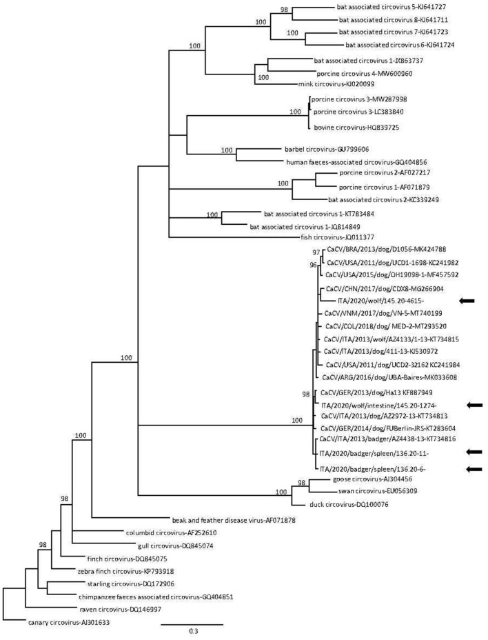 Figure 2